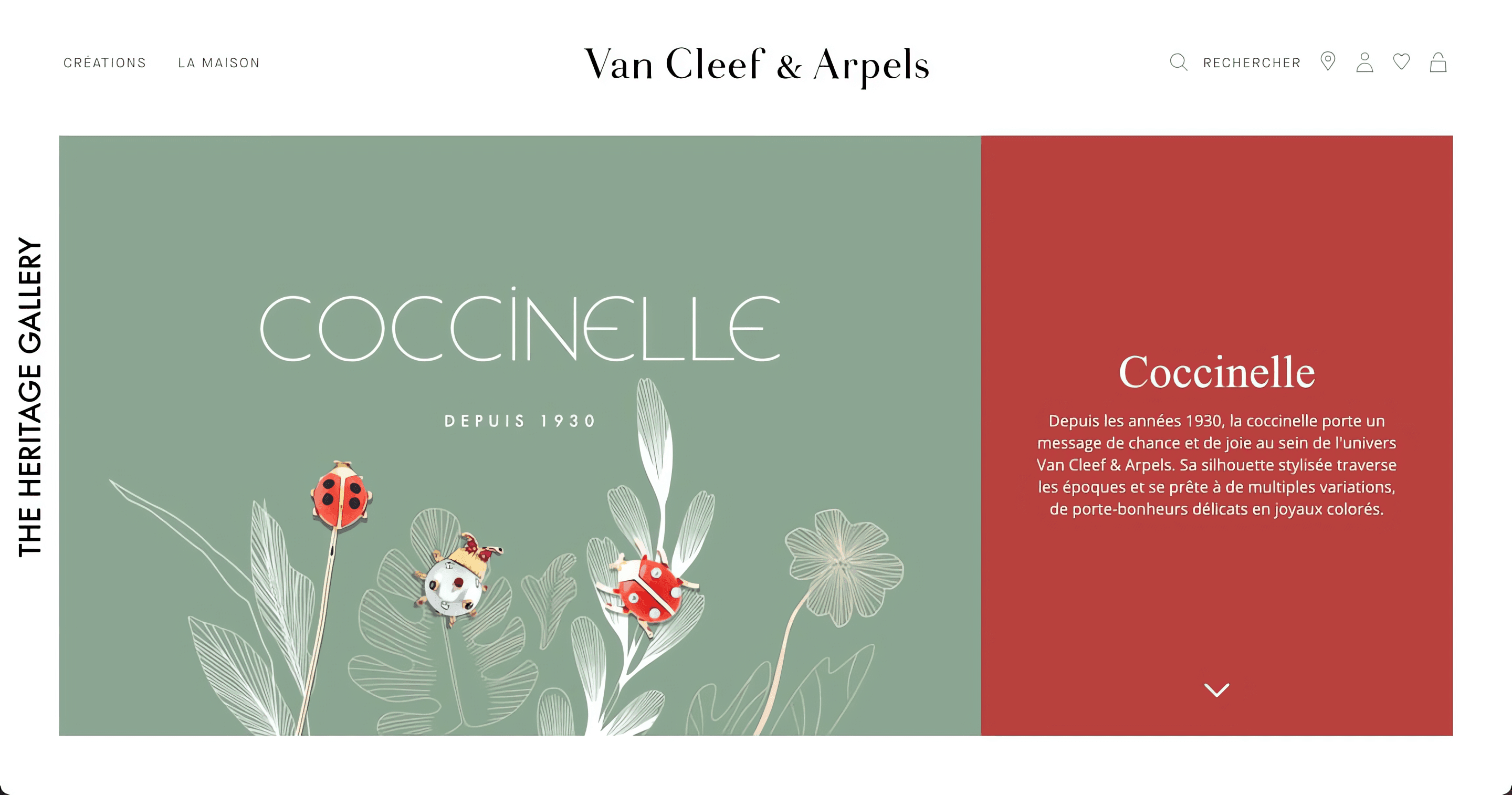 Coccinelle