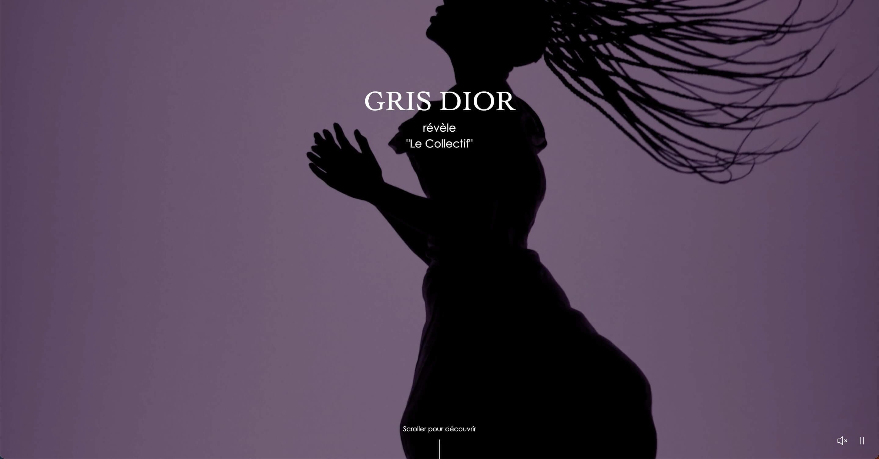 Gris Dior