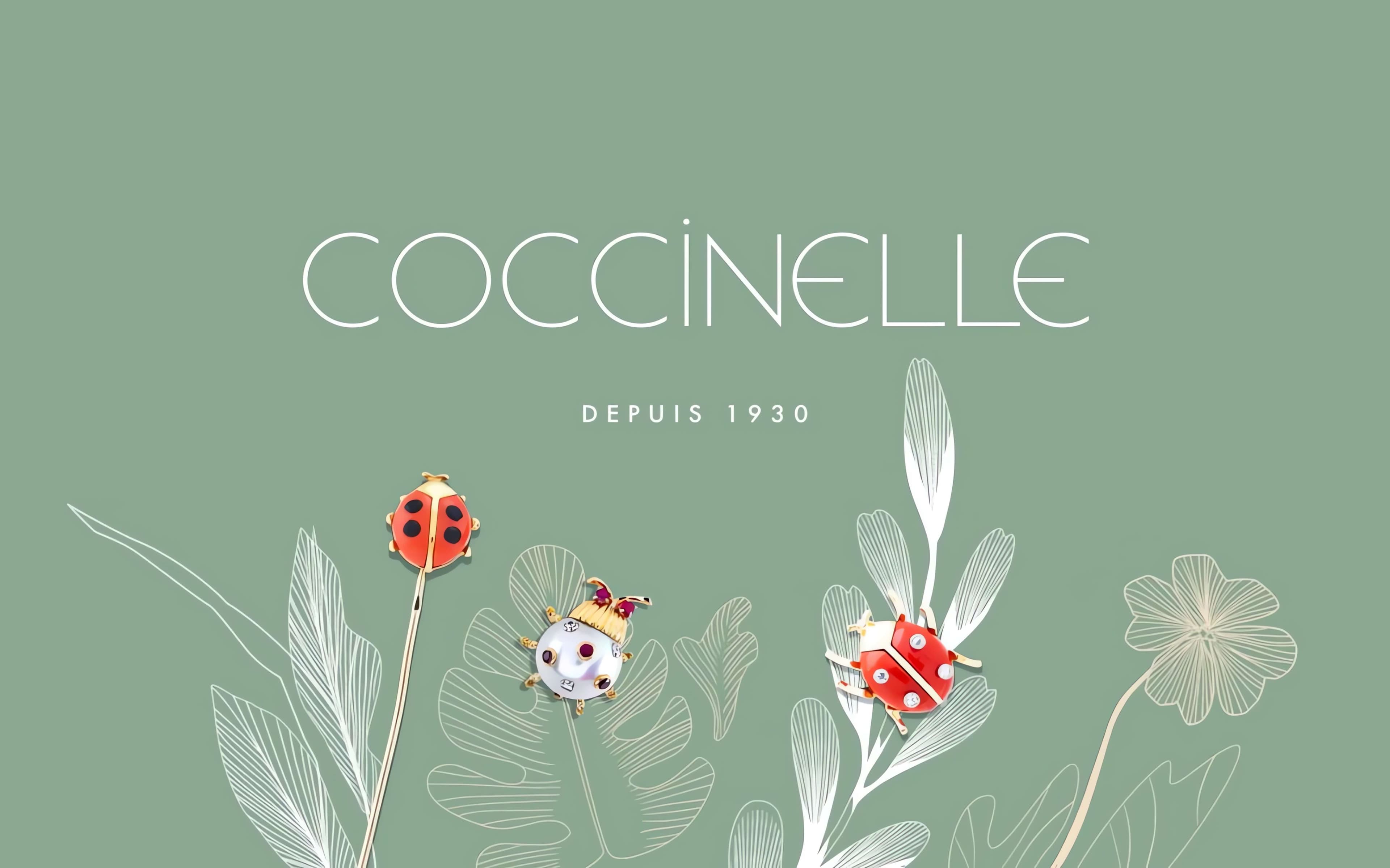 Coccinelle