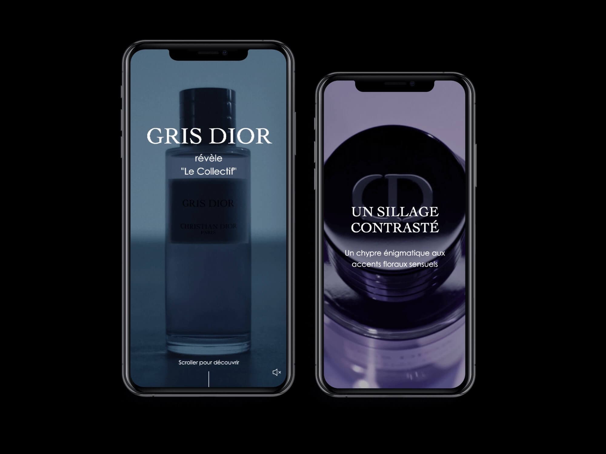Gris Dior